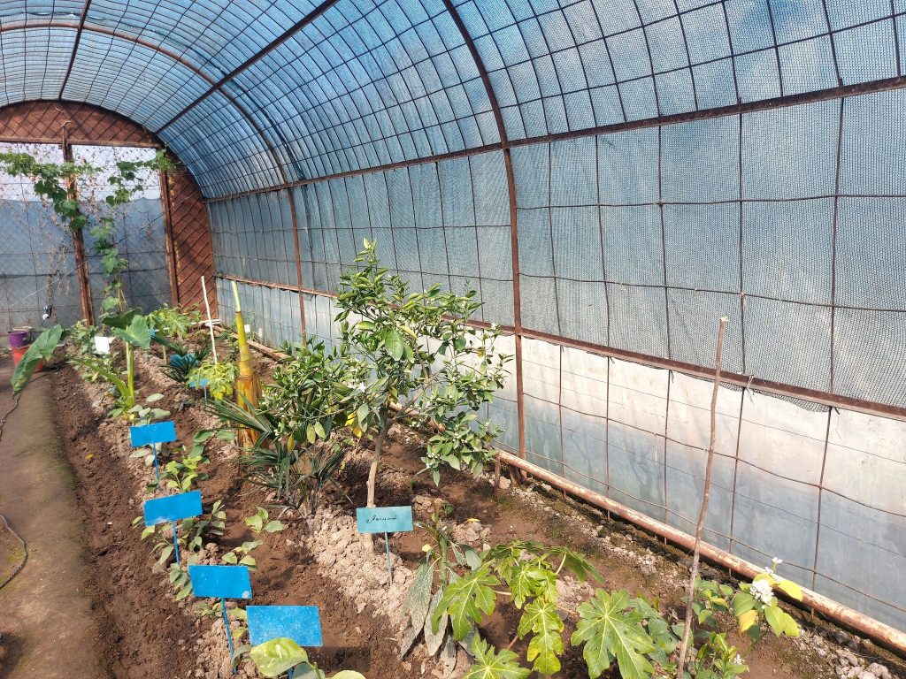 塔吉克斯坦科学家正在种植植物，以恢复拉什特山谷的牧场。