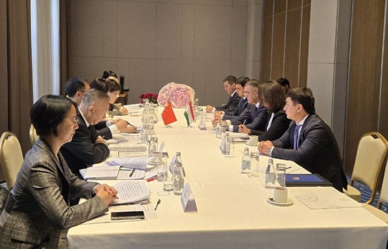 塔吉克斯坦和中国将建立协调海关统计数据的机制。