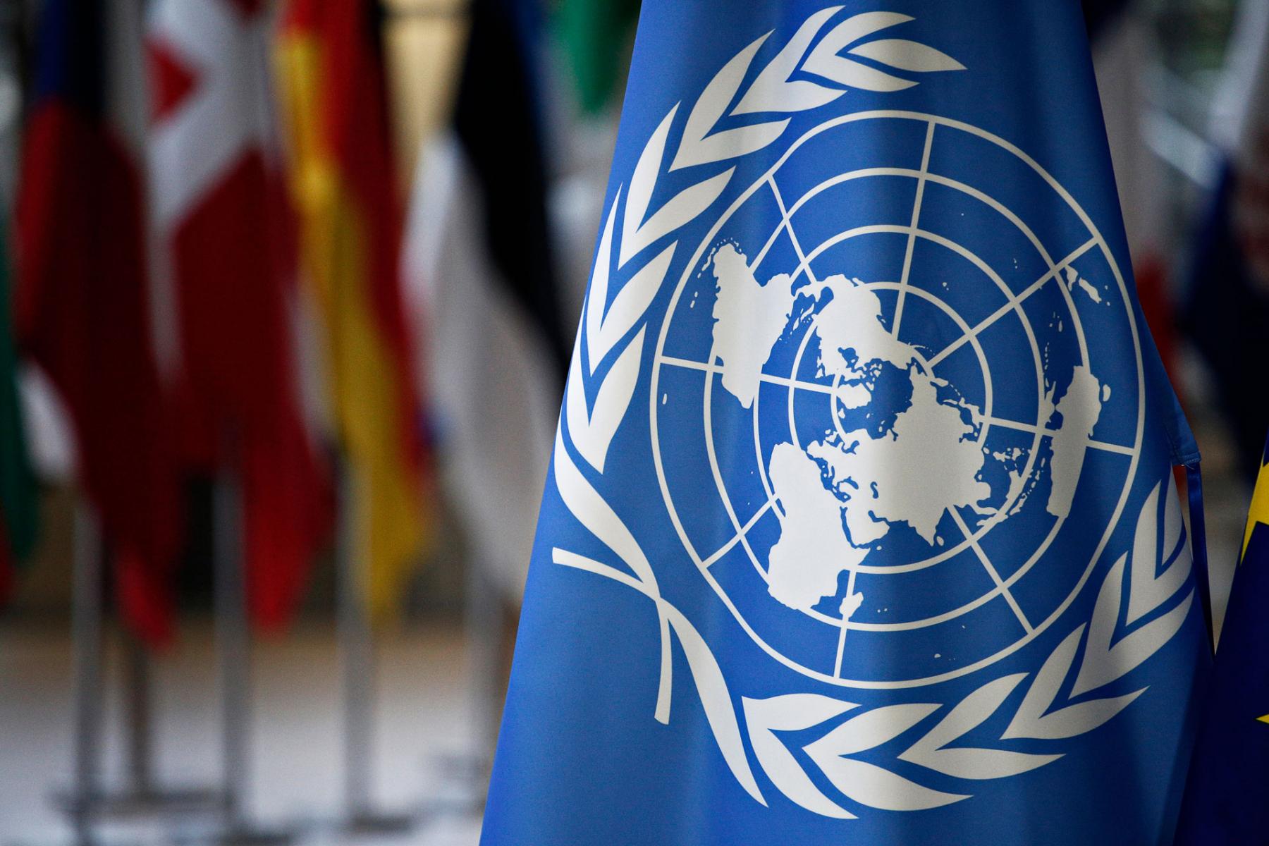 联合国已认定以色列在加沙的行为构成种族灭绝。
