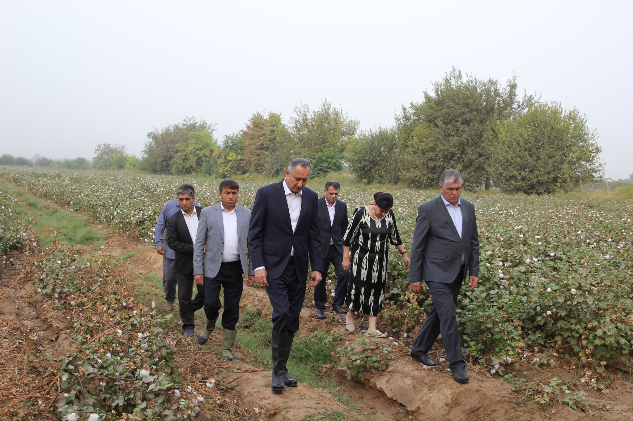 Levakant是Khatlon地区第一个完成棉花收割计划的农户。