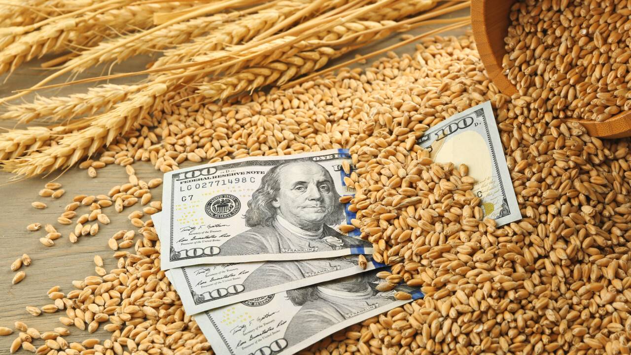10月份全球食品价格下跌，预计2025年粮食产量将创历史新高。
