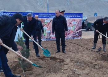 作为国家绿化计划的一部分，哈特隆地区已经种植了 1000 多棵树。