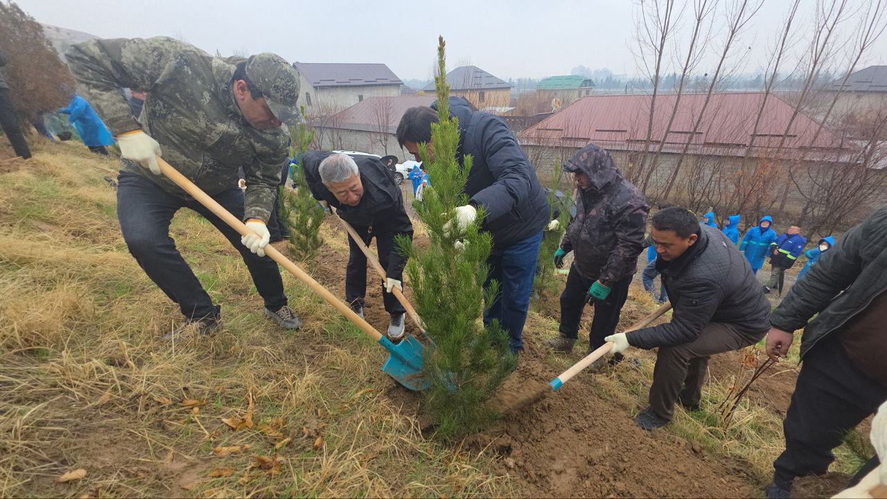 在鲁达基区举行了一次塔吉克-中国联合植树活动。