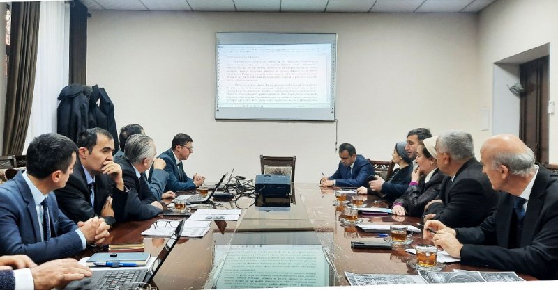 在杜尚别，与会者讨论了建立国际纳吾鲁孜节中心的问题。