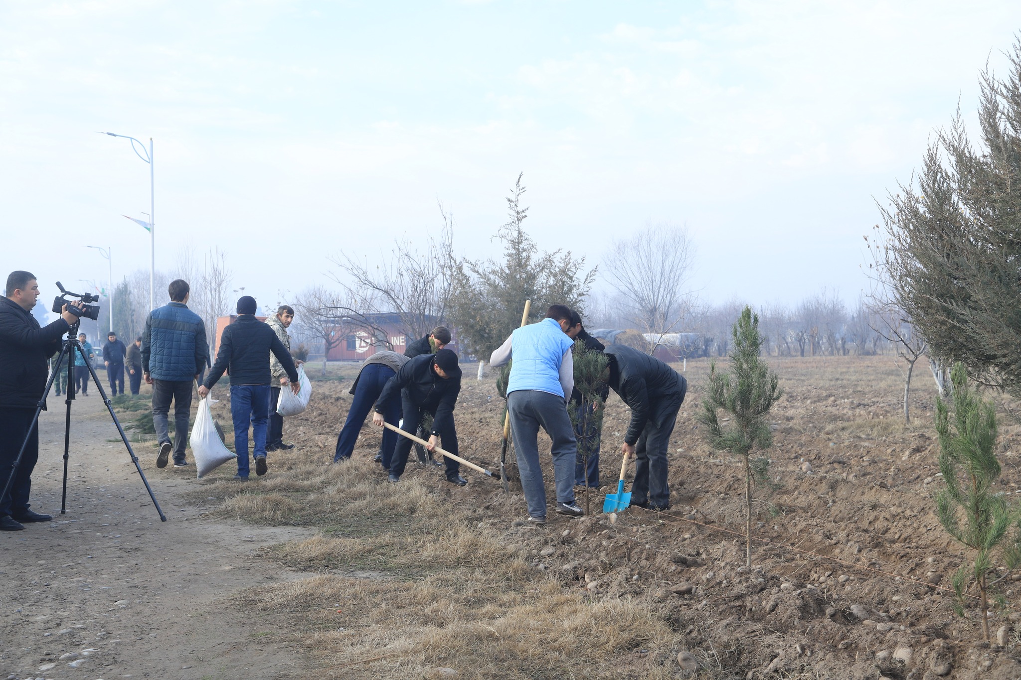 博赫塔尔-列瓦坎特公路沿线已种植了1000多棵树。
