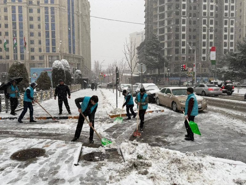 杜尚别开展了一项由志愿者参与的除雪活动。