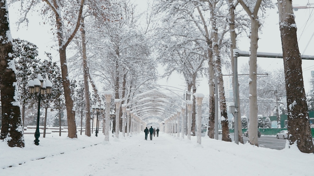 预计1月22日塔吉克斯坦将迎来大雪。