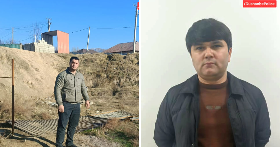 杜尚别发现了未经授权的土地征用和非法建设案例。