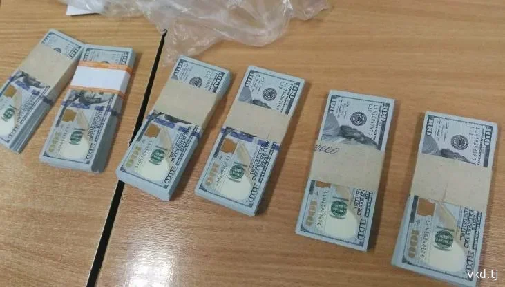 杜尚别和沃塞地区拘留了涉嫌诈骗的嫌疑人