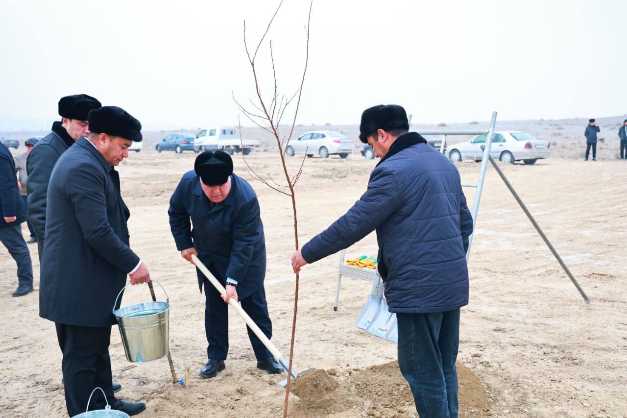 伊斯法拉正在进行土地开发和园艺项目。
