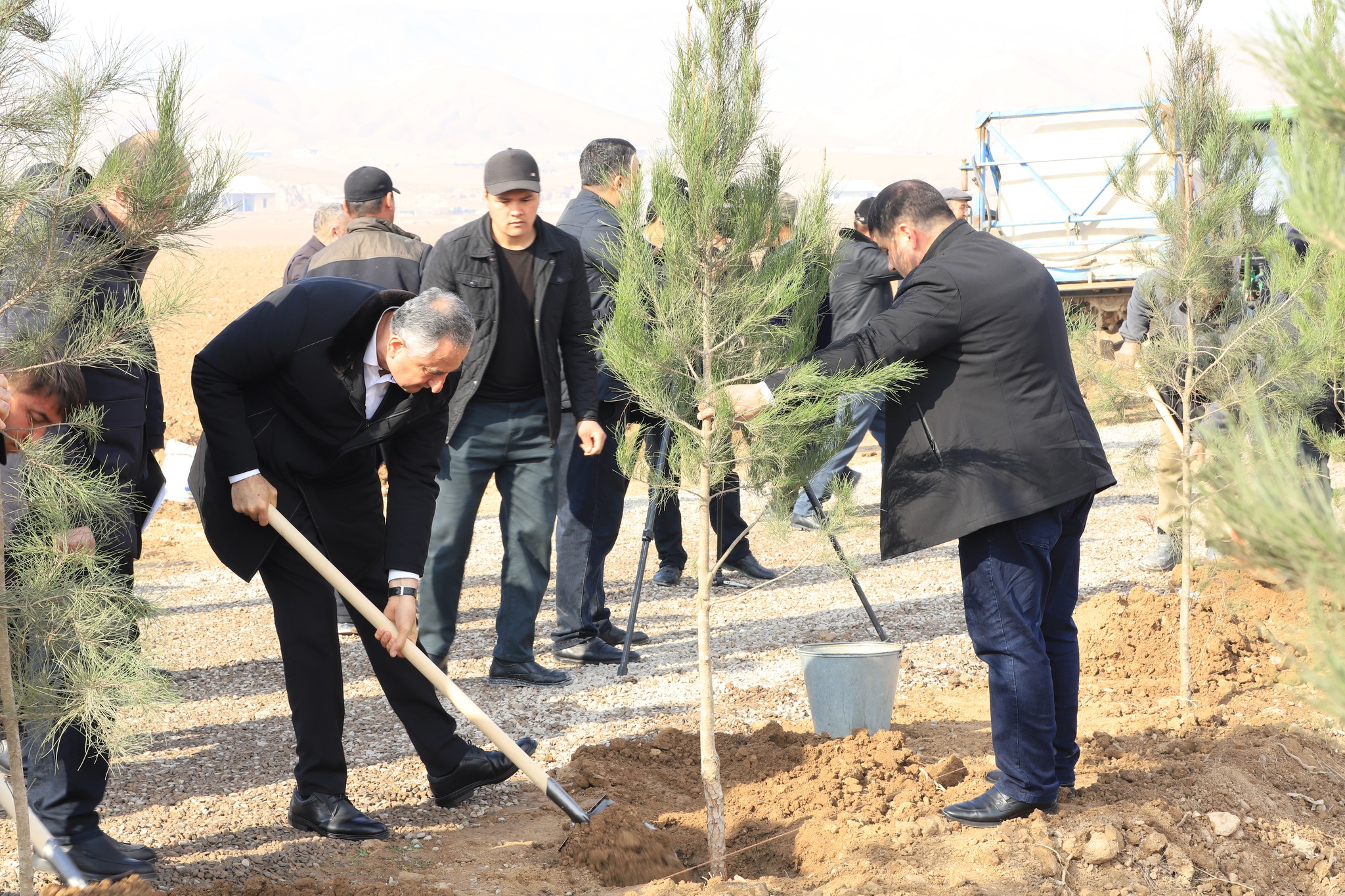 哈特隆州主席参加了杜斯蒂地区的植树活动。
