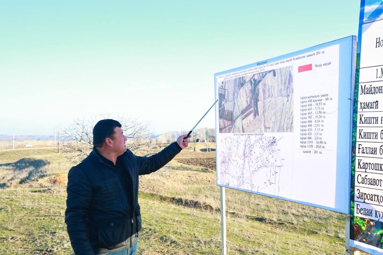 通过土地开发，沙赫里斯坦地区将扩大马铃薯种植面积。