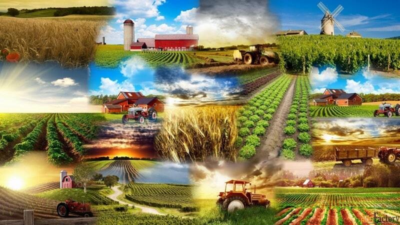 中国发布了2026年农业现代化和乡村振兴“一号文件”。