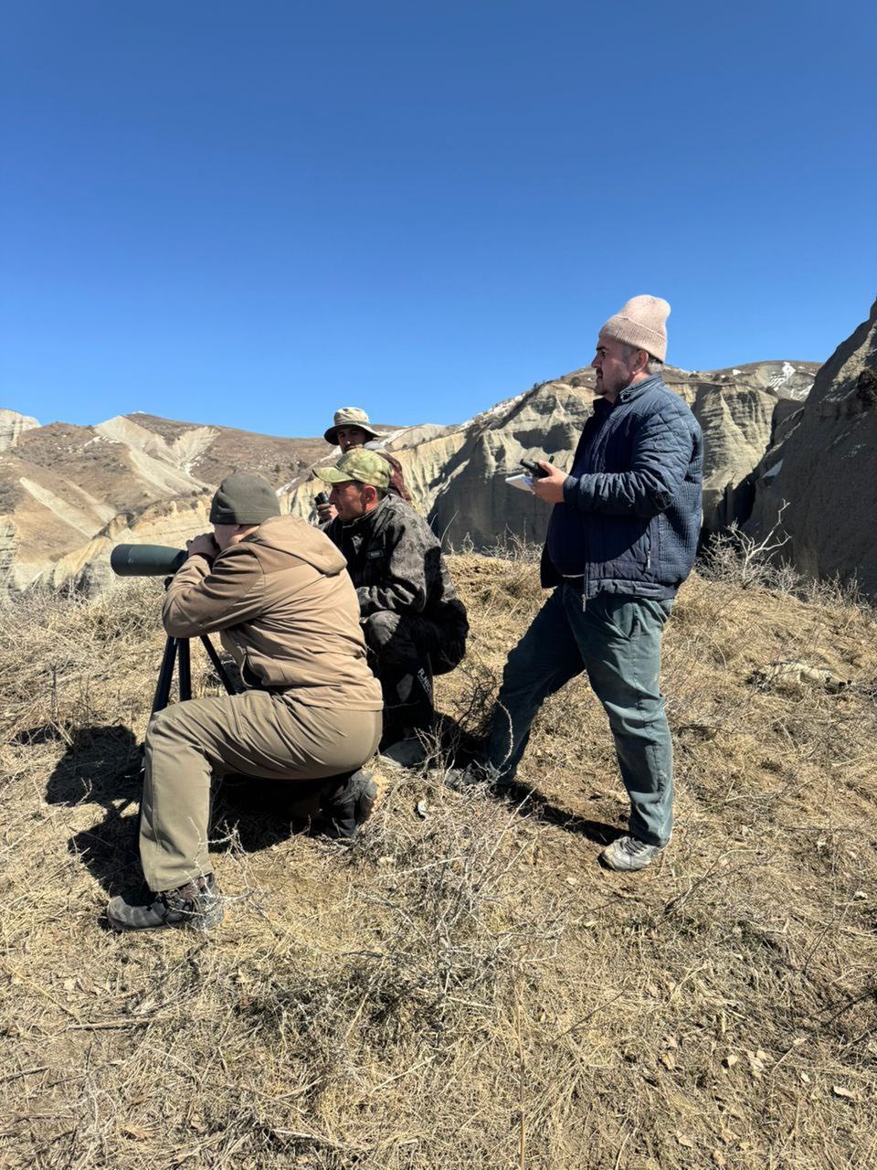 塔吉克斯坦南部地区正在进行马克霍尔山羊普查。