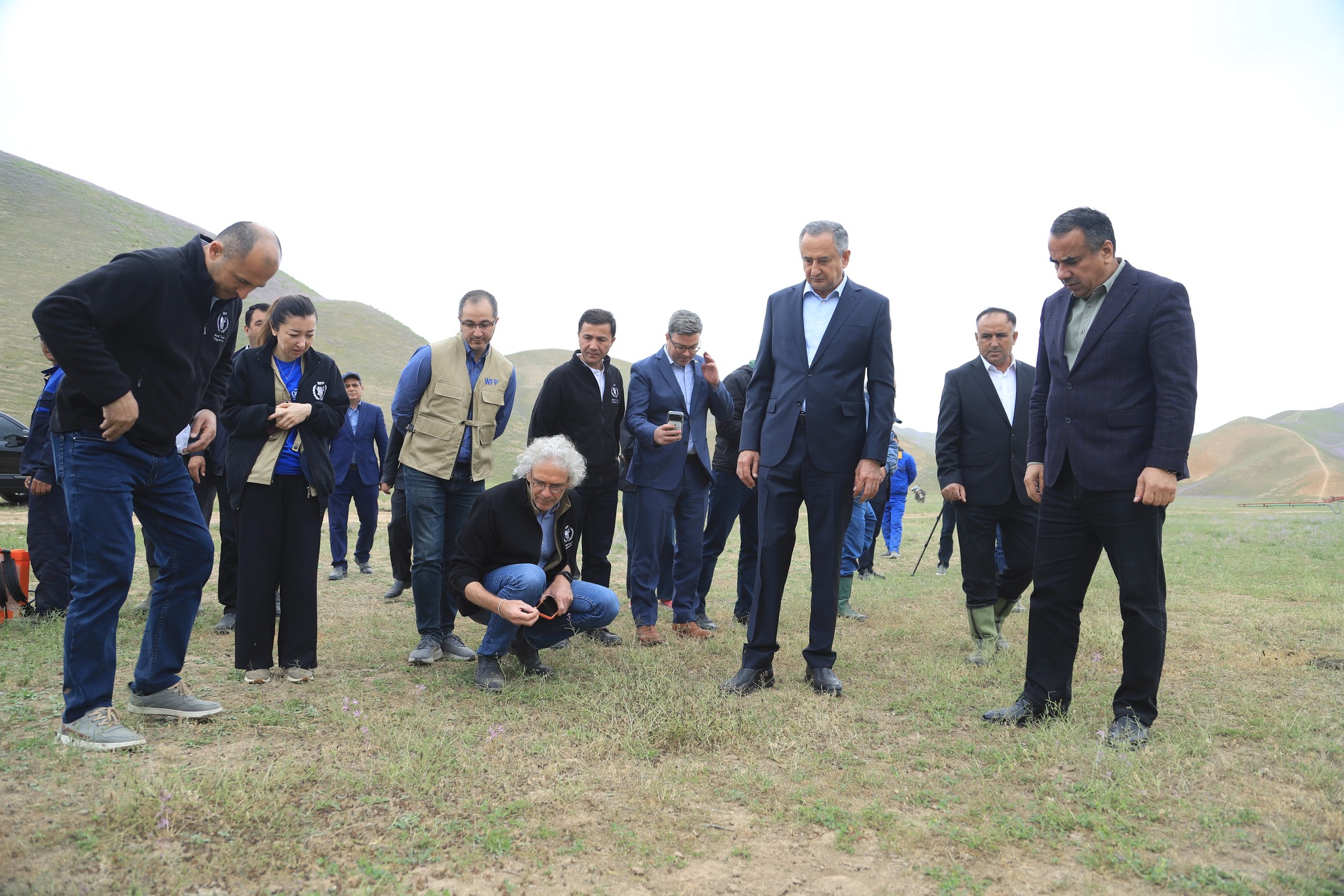 在哈特隆，蝗虫已侵袭1690公顷土地，其中1685公顷已得到治理。