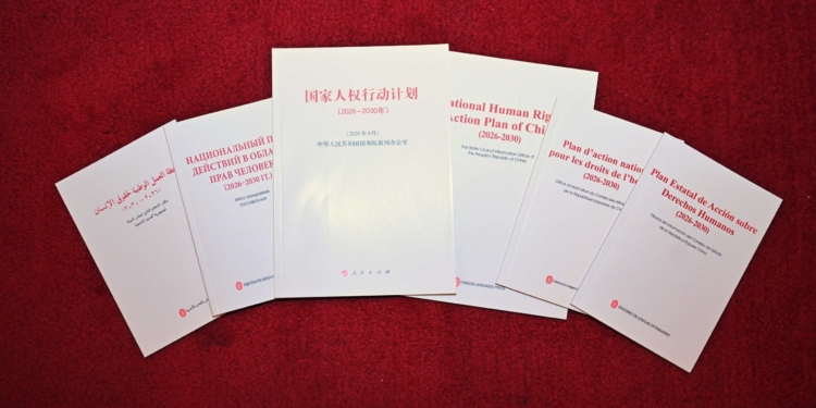 中国发布全球治理白皮书