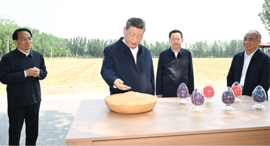 习近平要求采取重大措施推进农业和农村现代化