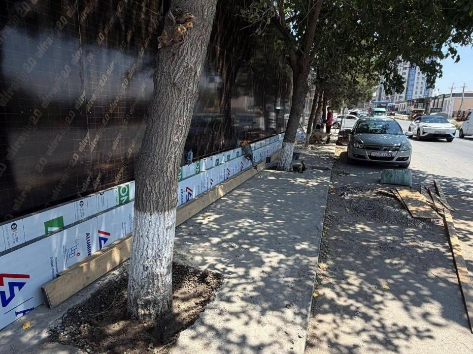 在社交媒体上发布相关帖子后,苦盏市拆除了树木周围的混凝土覆盖物。